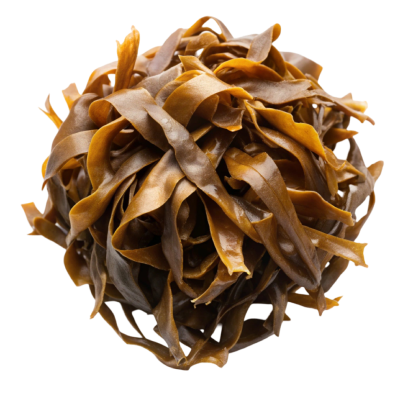 Brown Algea + Xylitol Complex